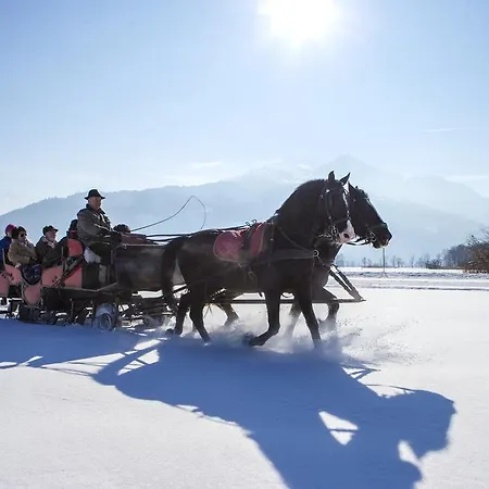 Junges Zell Am Hostel